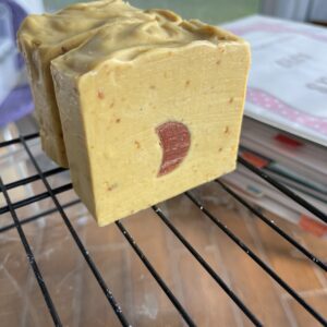 5oz Orange Pomegranate soap